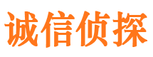 安塞调查公司